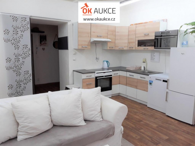 AUKCE PODNÁJMU - světlý zařízený byt 2KK (47m2), Vinohrady