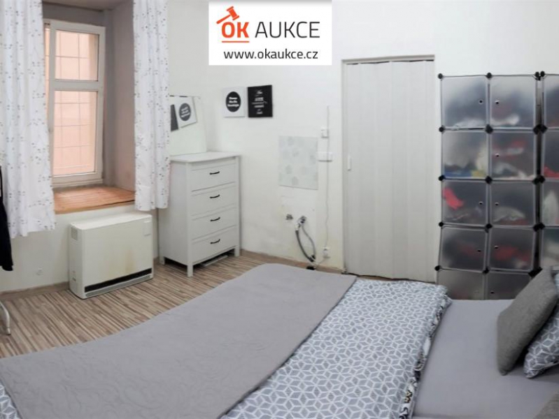 AUKCE PODNÁJMU - světlý zařízený byt 2KK (47m2), Vinohrady