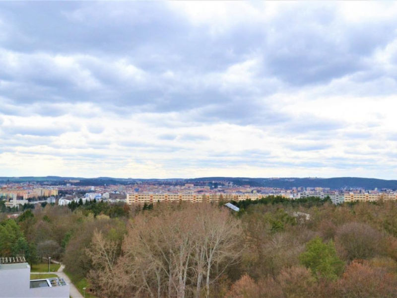 AUKCE PODNÁJMU - světlý zařízený byt 1+1 (36 m2), Brno, Haškova